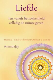 Brave New Books Thema 12 - Werkboek - Anandajay _ - ebook