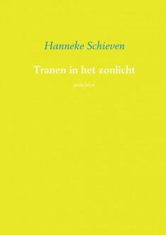 Brave New Books Tranen in het zonlicht - Boek Hanneke Schieven (9402129057)