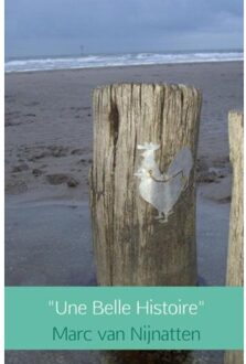 Brave New Books "Une Belle Histoire" - Boek Marc van Nijnatten (9402156046)
