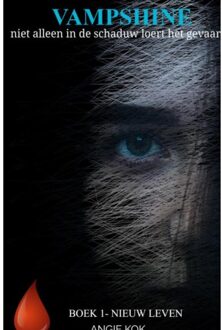 Brave New Books Vampshine - Angie Kok