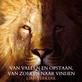 Brave New Books Van Vallen En Opstaan, Van Zoeken Naar Vinden - Lian Verkerk