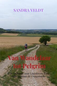 Brave New Books Van Wandelaar tot Pelgrim - Sandra Veldt - ebook