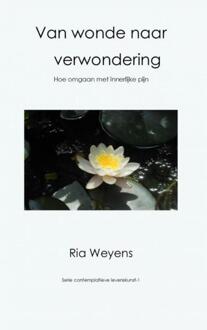 Brave New Books Van wonde naar verwondering - Boek Ria Weyens (9402161864)