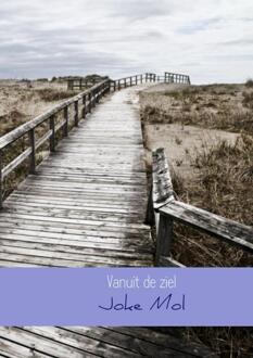 Brave New Books Vanuit de ziel - Boek Joke Mol (9402128441)