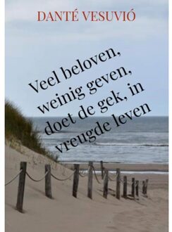 Brave New Books Veel beloven, weinig geven, doet de gek, in vreugde leven - (ISBN:9789464357905)