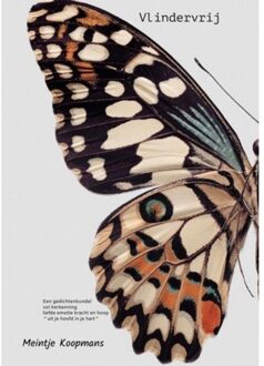 Brave New Books Vlindervrij - Meintje Koopmans