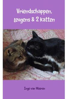 Brave New Books Vriendschappen, leugens & 2 katten