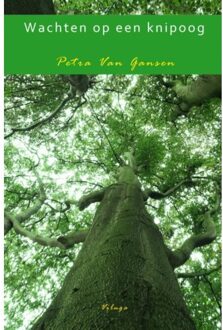 Brave New Books Wachten op een knipoog - Petra Van Gansen - 000