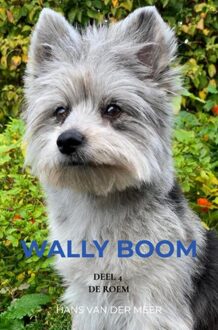 Brave New Books Wally Boom - Hans Van der Meer - ebook