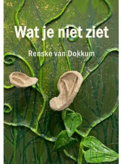 Brave New Books Wat Je Niet Ziet - Renske Van Dokkum