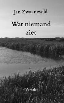 Brave New Books Wat niemand ziet