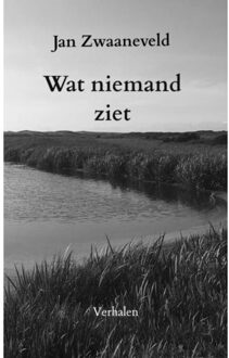 Brave New Books Wat niemand ziet