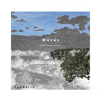 Brave New Books Waves - Frédéric Van Cutsem