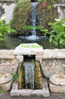 Brave New Books Welwater - Fred Bruce