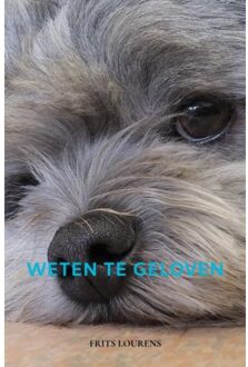 Brave New Books Weten Te Geloven