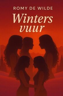 Brave New Books Winters vuur - Romy De Wilde - ebook