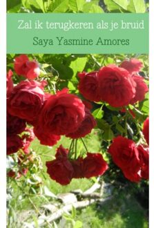 Brave New Books Zal Ik Terugkeren Als Je Bruid