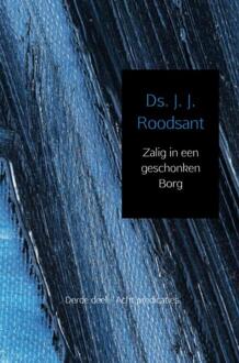 Brave New Books Zalig in een geschonken borg / 3 - Boek J.J. Roodsant (940216345X)
