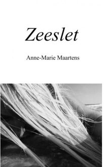 Brave New Books Zeeslet