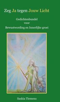 Brave New Books Zeg Ja tegen Jouw Licht - (ISBN:9789464057782)