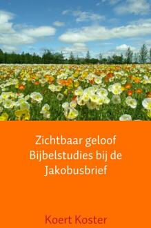 Brave New Books Zichtbaar geloof Bijbelstudies bij de Jakobusbrief - Boek Koert en Marleen Koster (940210948X)