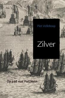 Brave New Books Zilver - Boek Piet Vellekoop (9402152466)