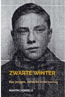 Brave New Books Zwarte Winter - Martin Dobbels