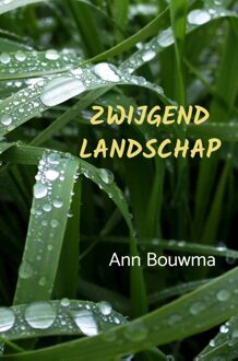 Brave New Books Zwijgend Landschap - Ann Bouwma - ebook