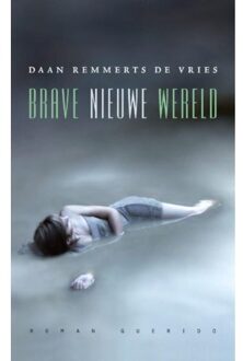 Brave nieuwe wereld - Boek Daan Remmerts de Vries (9021440210)