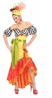 Braziliaanse dame verkleedkleding Multikleur - Print