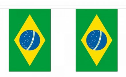 Braziliaanse vlaggenlijn 9 meter Multi