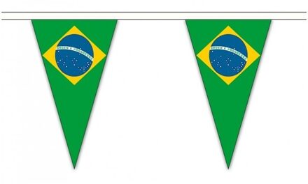 Brazilie landen punt vlaggetjes 20 meter