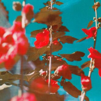 Breathe - Chad Lawson