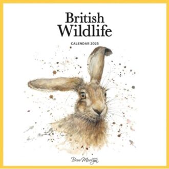 Bree Merryn Square Wall Calendar 2025 - Calendars, Carousel