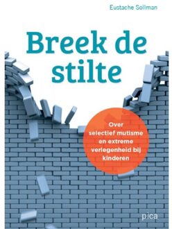 Breek de stilte - Boek Eustache Sollman (9492525348)