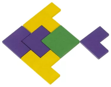 Breinbreker Houten kinder puzzel - met 40 stukjes - spellen - tetris game
