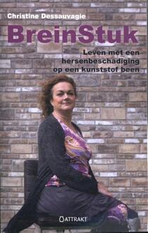 BreinStuk - Boek Christine Dessauvagie (9460510868)