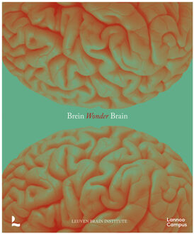 Breinwonder / Wonder Brain -  Ann van der Jeugd, Mathieu Vandenbulcke (ISBN: 9789020958928)