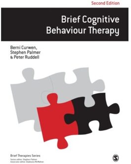 Brief Cognitive Behaviour Therapy