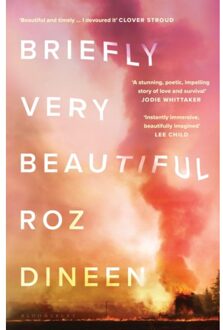 Briefly Very Beautiful - Roz Dineen
