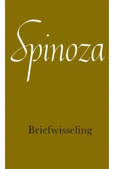 Briefwisseling - Boek Baruch de Spinoza (9028415971)