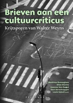 Brieven aan een cultuurcriticus -  Elias Storms (ISBN: 9789463837187)