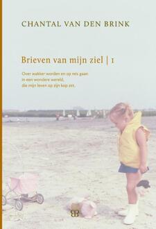 Brieven van mijn ziel / 1993-1999 - Boek Chantal van den Brink (9081817205)