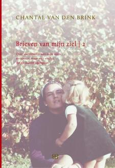 Brieven van mijn Ziel / 2 - Boek Chantal van den Brink (9081817213)
