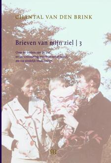 Brieven van mijn ziel / 3 - Boek Chantal van den Brink (9081817221)