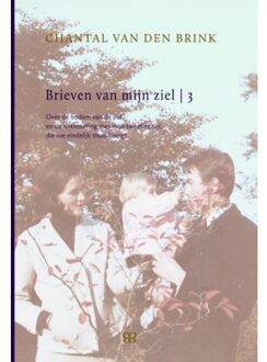 Brieven van mijn ziel / 3 - Boek Chantal van den Brink (9081817221)