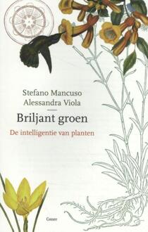 Briljant Groen