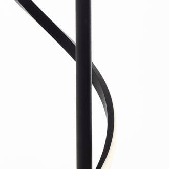 Brilliant Eunice LED vloerlamp, hoogte 150 cm, zwart, metaal