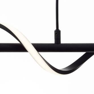 Brilliant Hanglamp Eunice, lengte 80 cm, zwart, metaal