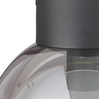 Brilliant lamp Astro plafondlamp 25 cm zwart / rookglas | 1x A60, E27, 60W, geschikt voor standaardlampen (niet inbegrepen) | Schaal A ++ tot E | Geschikt voor LED-lampen